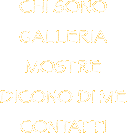 Sezioni del sito